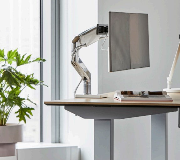 Single Monitor Arm | M2.1 Silver