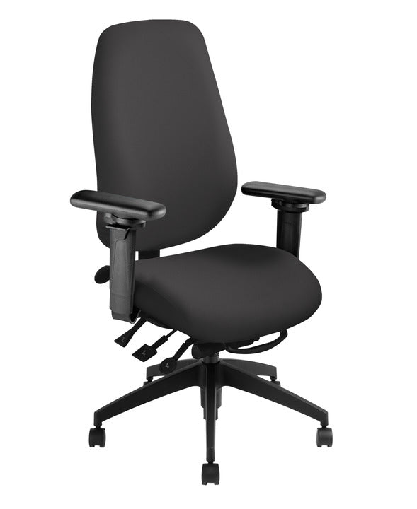 ErgoCentric GeoCentric Multi tilt Office Task Chair fitzBODY