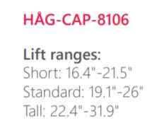 HÅG Capisco with Saddle Seat and Back - Model 8106 [ergonomics] - fitzBODY.com